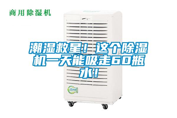 潮濕救星!這個除濕機一天能吸走60瓶水!