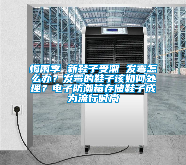 梅雨季 新鞋子受潮 發霉怎么辦?發霉的鞋子該如何處理?電子防潮箱存儲鞋子成為流行時尚