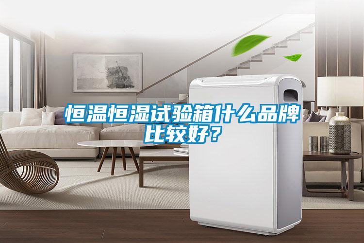 恒溫恒濕試驗箱什么品牌比較好？
