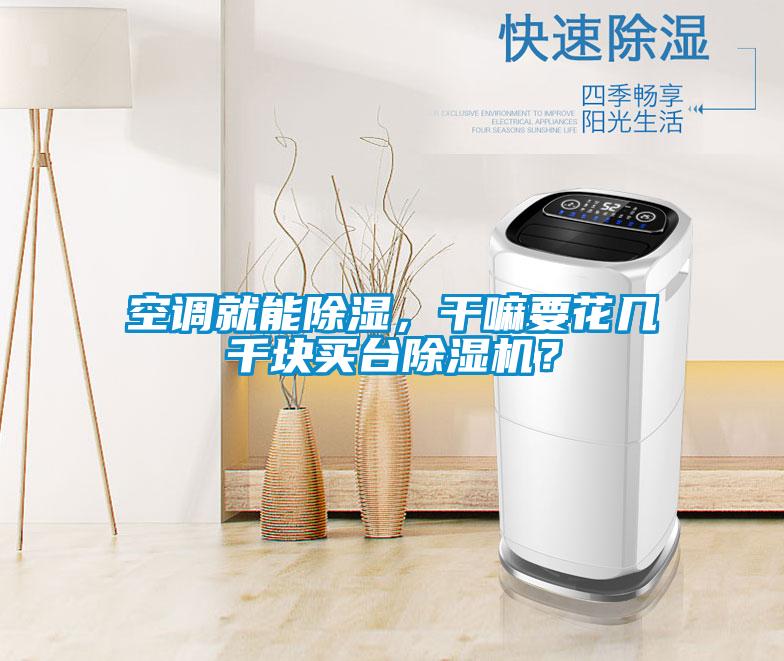 空調就能除濕，干嘛要花幾千塊買臺除濕機？