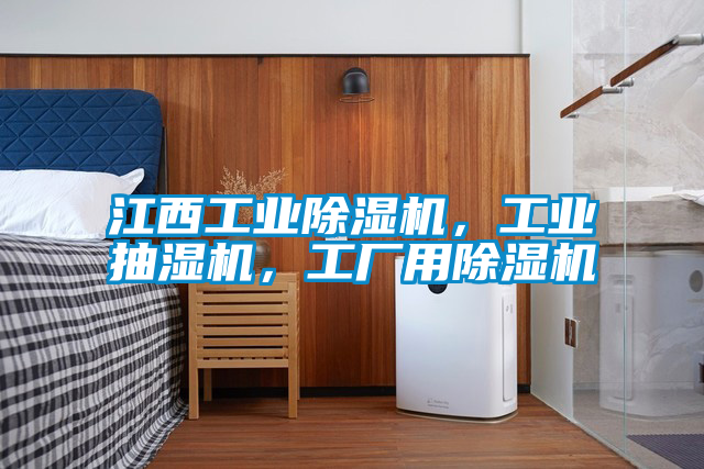 江西工業(yè)除濕機(jī),工業(yè)抽濕機(jī),工廠用除濕機(jī)