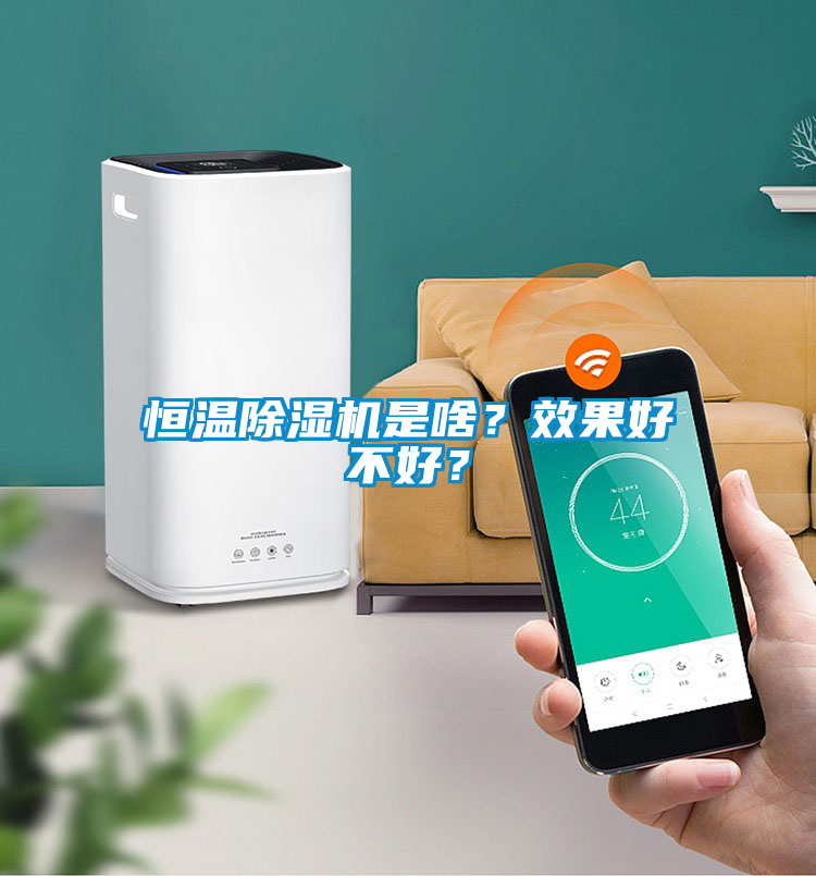 恒溫除濕機是啥?效果好不好?