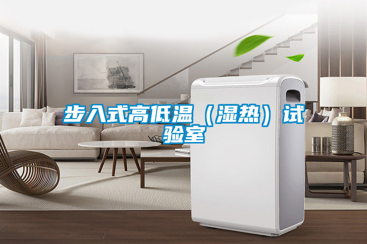 步入式高低溫(濕熱)試驗室