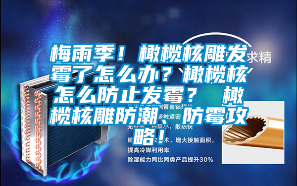 梅雨季!橄欖核雕發(fā)霉了怎么辦?橄欖核怎么防止發(fā)霉? 橄欖核雕防潮、防霉攻略!