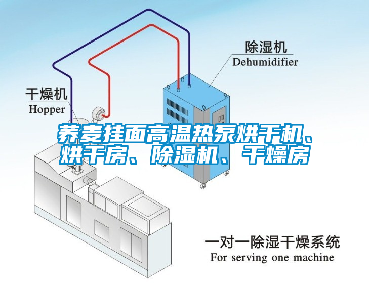 蕎麥掛面高溫?zé)岜煤娓蓹C(jī)、烘干房、除濕機(jī)、干燥房