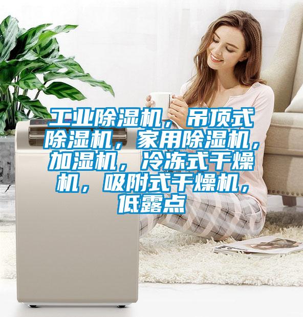 工業(yè)除濕機，吊頂式除濕機，家用除濕機，加濕機，冷凍式干燥機，吸附式干燥機，低露點