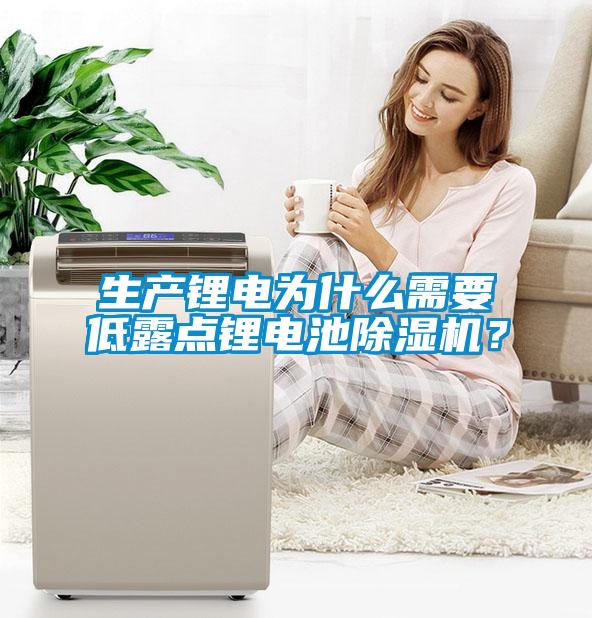 生產鋰電為什么需要低露點鋰電池除濕機?
