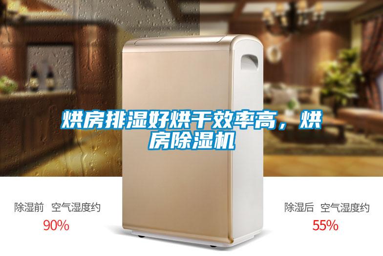 烘房排濕好烘干效率高,烘房除濕機(jī)