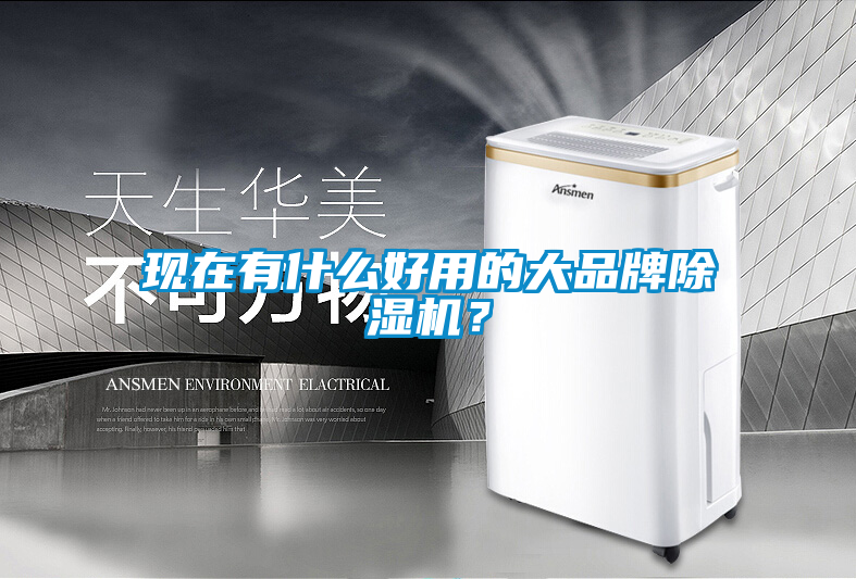 現(xiàn)在有什么好用的大品牌除濕機？