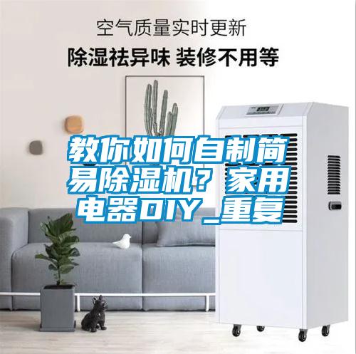 教你如何自制簡易除濕機(jī)?家用電器DIY_重復(fù)