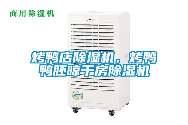 烤鴨店除濕機,烤鴨鴨胚晾干房除濕機