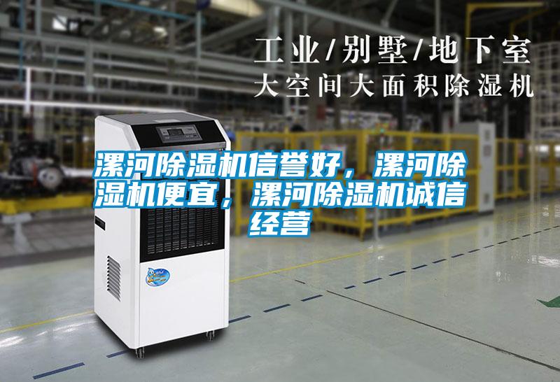 漯河除濕機(jī)信譽(yù)好,漯河除濕機(jī)便宜,漯河除濕機(jī)誠(chéng)信經(jīng)營(yíng)