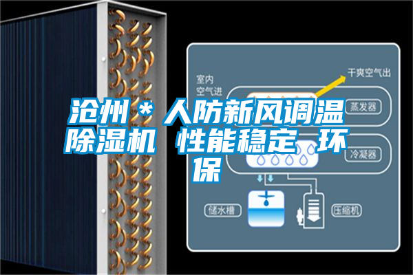 滄州*人防新風調溫除濕機 性能穩定 環保