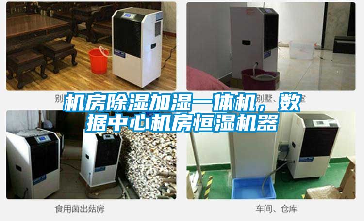 機房除濕加濕一體機，數據中心機房恒濕機器