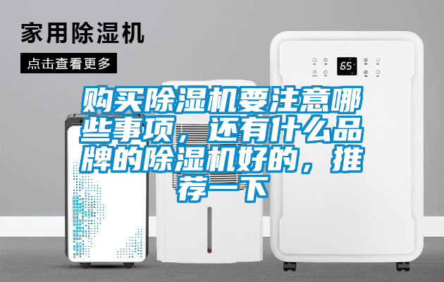 購買除濕機(jī)要注意哪些事項(xiàng)，還有什么品牌的除濕機(jī)好的，推薦一下