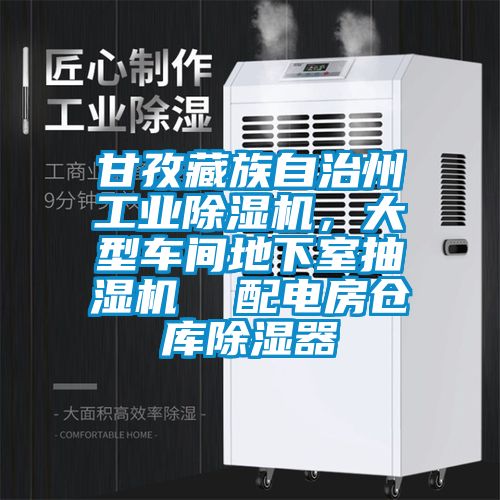 甘孜藏族自治州工業除濕機，大型車間地下室抽濕機  配電房倉庫除濕器