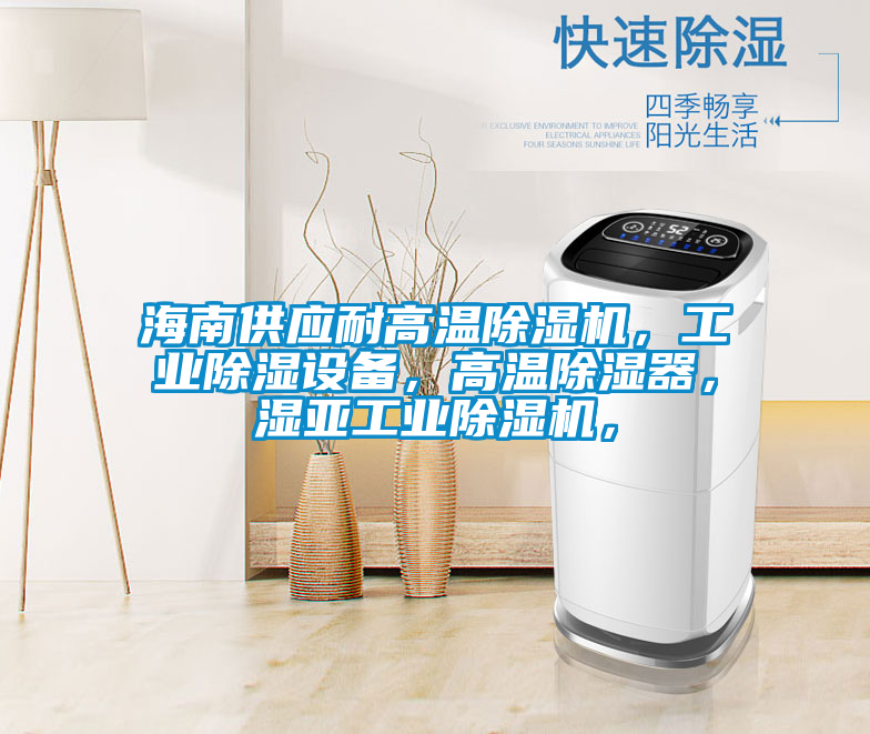 海南供應耐高溫除濕機，工業除濕設備，高溫除濕器，濕亞工業除濕機，