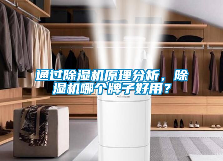 通過除濕機原理分析，除濕機哪個牌子好用？