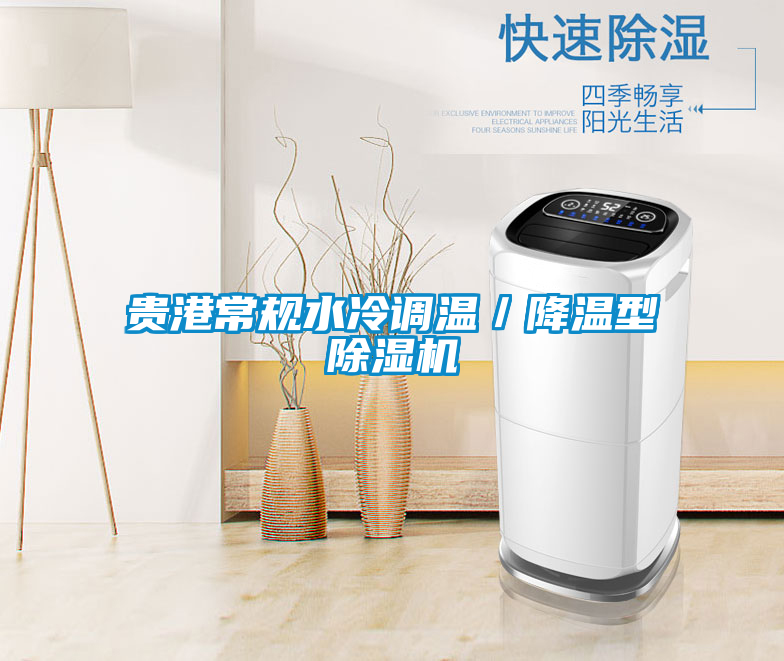 貴港常規水冷調溫/降溫型除濕機