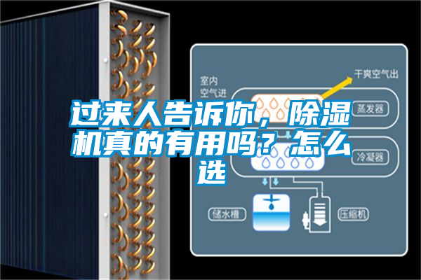 過來人告訴你，除濕機(jī)真的有用嗎？怎么選