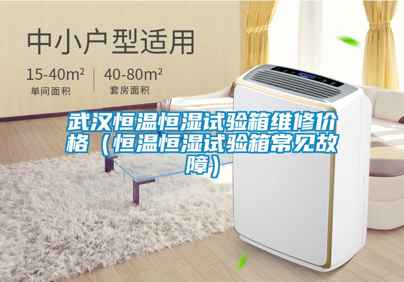 武漢恒溫恒濕試驗箱維修價格(恒溫恒濕試驗箱常見故障)