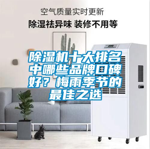 除濕機十大排名中哪些品牌口碑好？梅雨季節的最佳之選