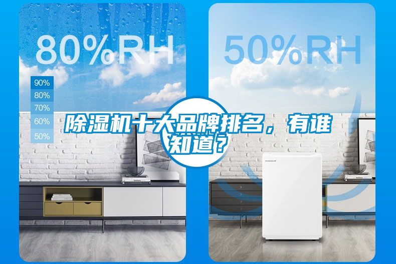 除濕機(jī)十大品牌排名，有誰(shuí)知道？