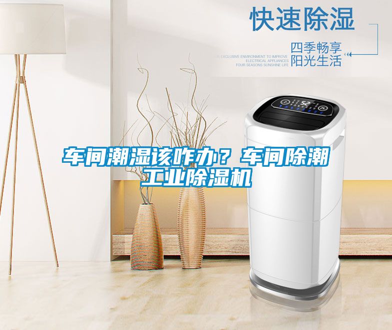 車間潮濕該咋辦？車間除潮工業(yè)除濕機(jī)