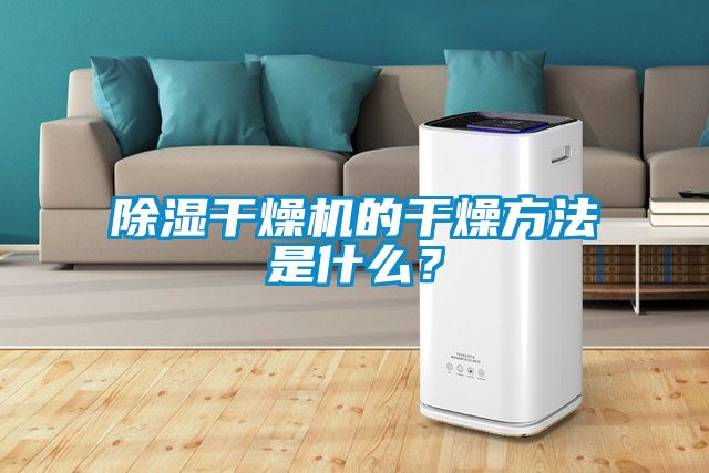 除濕干燥機的干燥方法是什么？