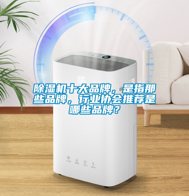 除濕機十大品牌，是指那些品牌，行業協會推薦是哪些品牌？