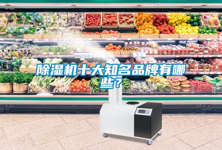 除濕機(jī)十大知名品牌有哪些？