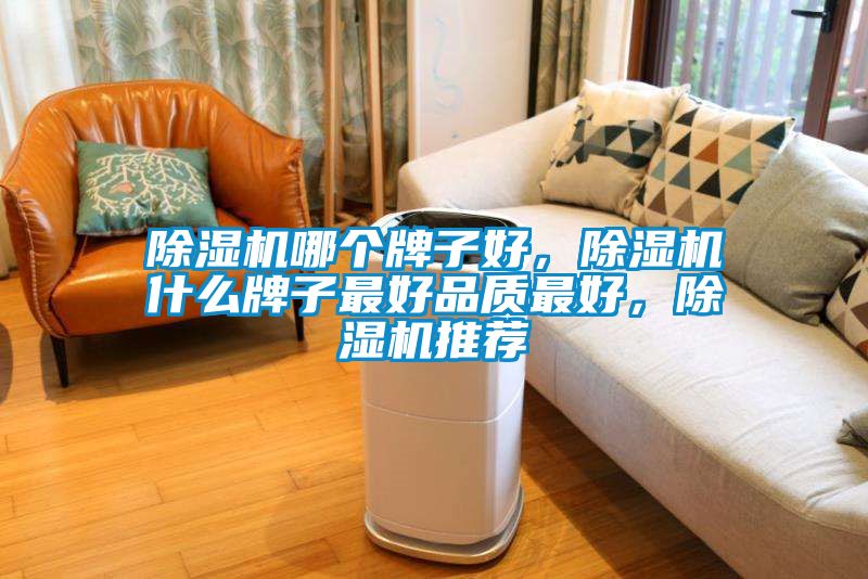 除濕機哪個牌子好，除濕機什么牌子最好品質(zhì)最好，除濕機推薦
