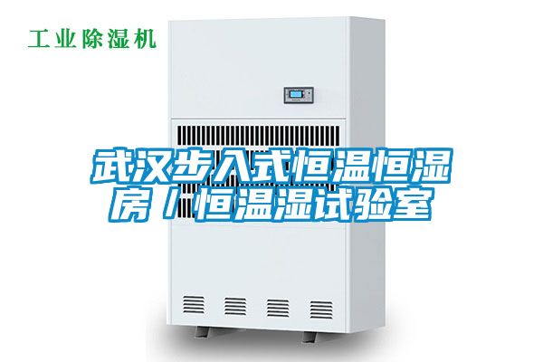 武漢步入式恒溫恒濕房/恒溫濕試驗(yàn)室