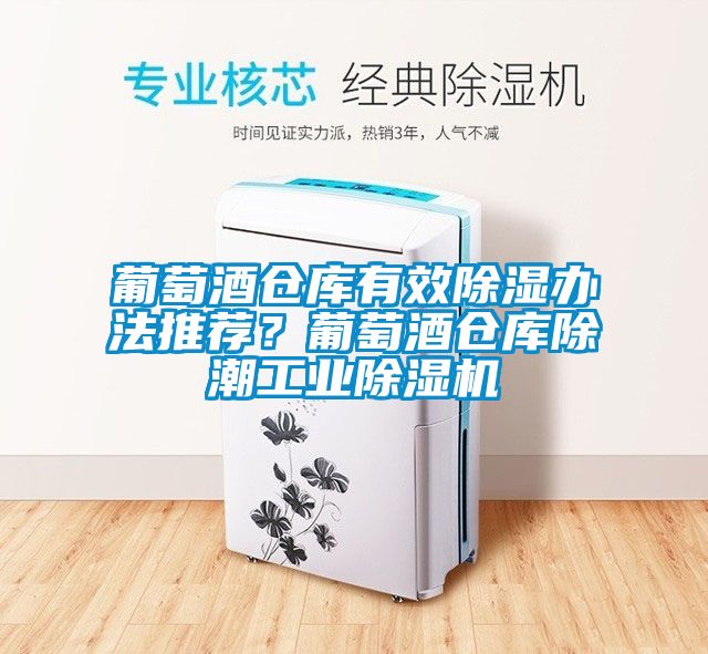 葡萄酒倉庫有效除濕辦法推薦？葡萄酒倉庫除潮工業除濕機