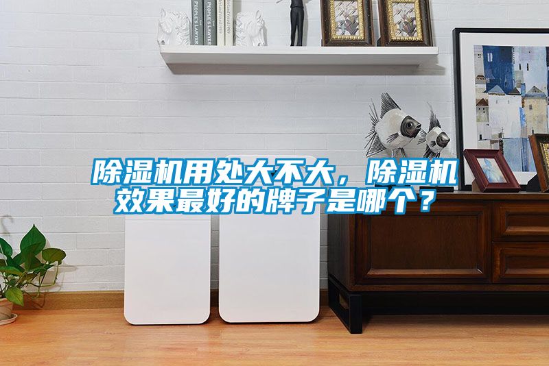 除濕機(jī)用處大不大，除濕機(jī)效果最好的牌子是哪個？