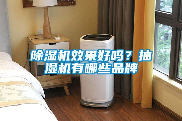 除濕機效果好嗎？抽濕機有哪些品牌