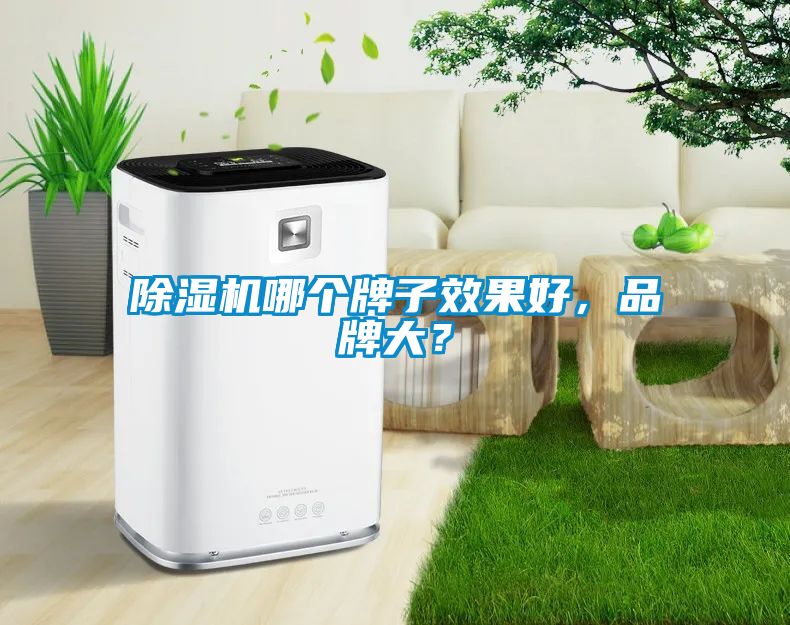 除濕機(jī)哪個牌子效果好，品牌大？