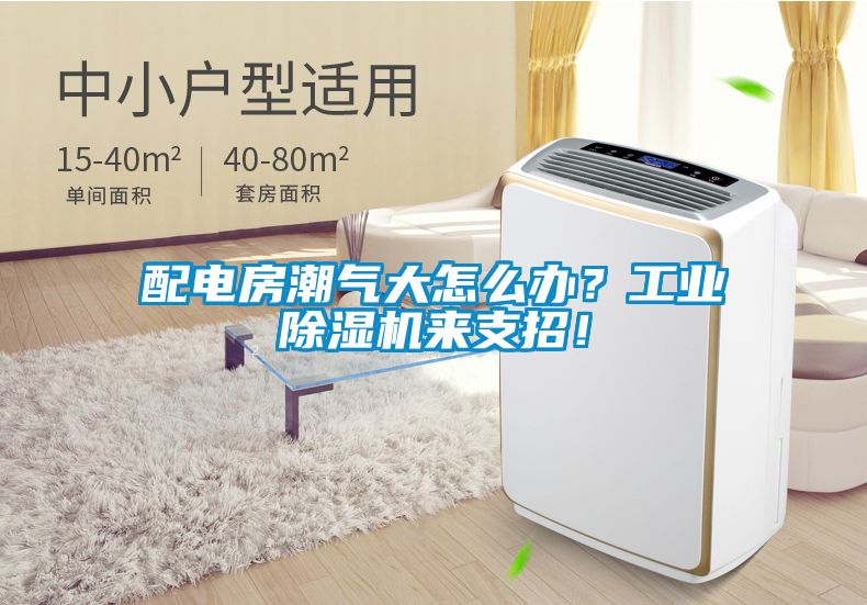 配電房潮氣大怎么辦？工業(yè)除濕機(jī)來支招！