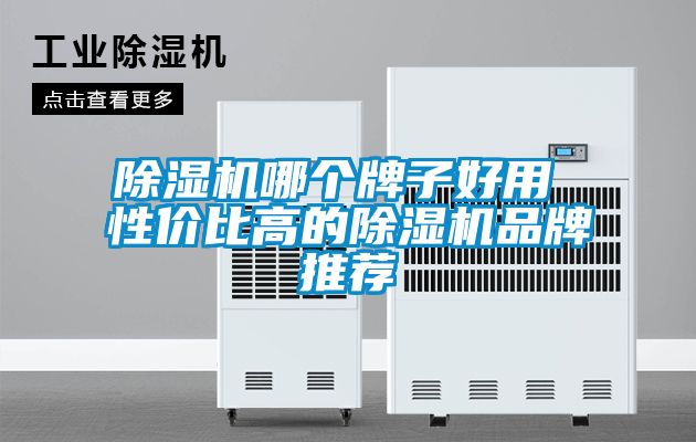 除濕機(jī)哪個牌子好用 性價(jià)比高的除濕機(jī)品牌推薦