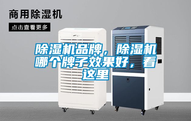 除濕機品牌，除濕機哪個牌子效果好，看這里