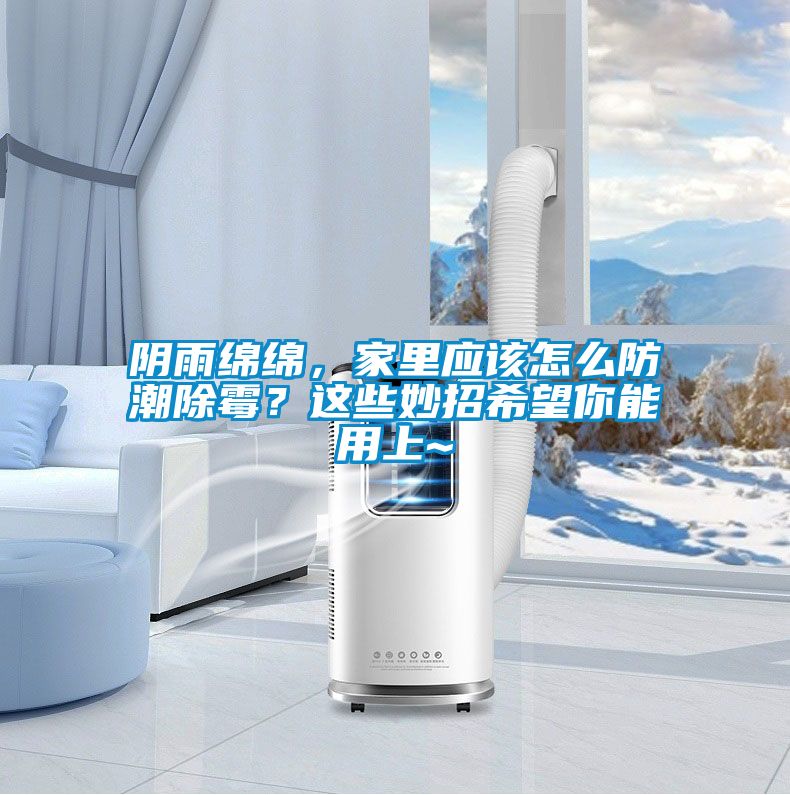 陰雨綿綿，家里應(yīng)該怎么防潮除霉？這些妙招希望你能用上~