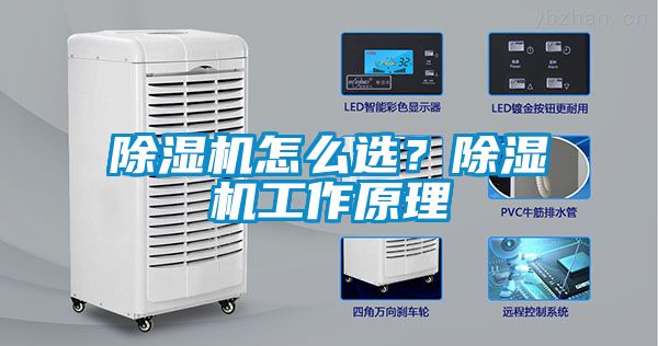 除濕機怎么選？除濕機工作原理