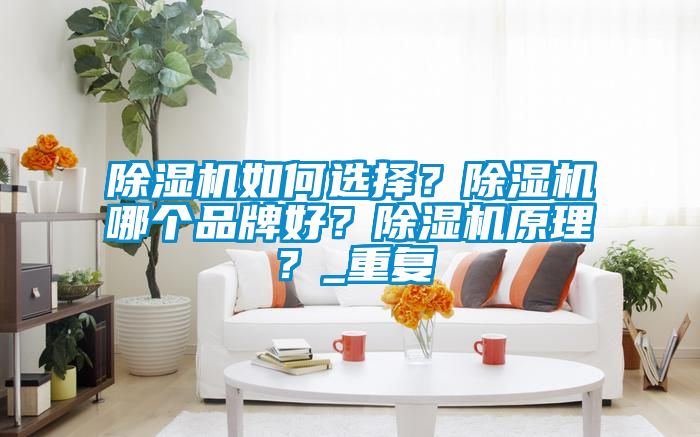 除濕機如何選擇？除濕機哪個品牌好？除濕機原理？_重復(fù)