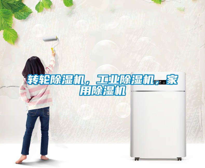 轉(zhuǎn)輪除濕機，工業(yè)除濕機，家用除濕機