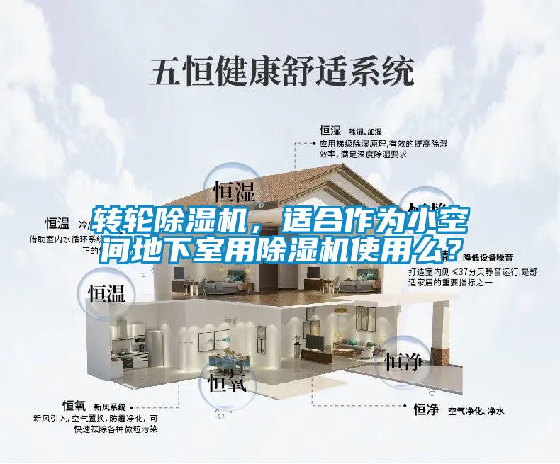 轉輪除濕機，適合作為小空間地下室用除濕機使用么？