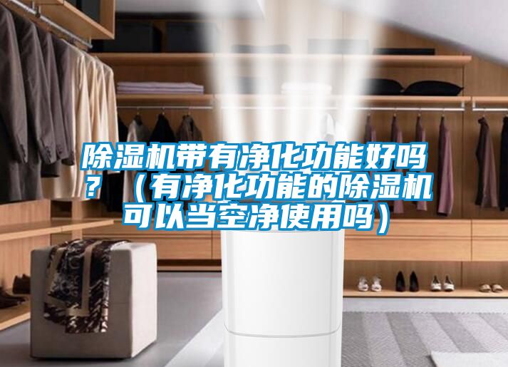 除濕機帶有凈化功能好嗎?(有凈化功能的除濕機可以當空凈使用嗎)