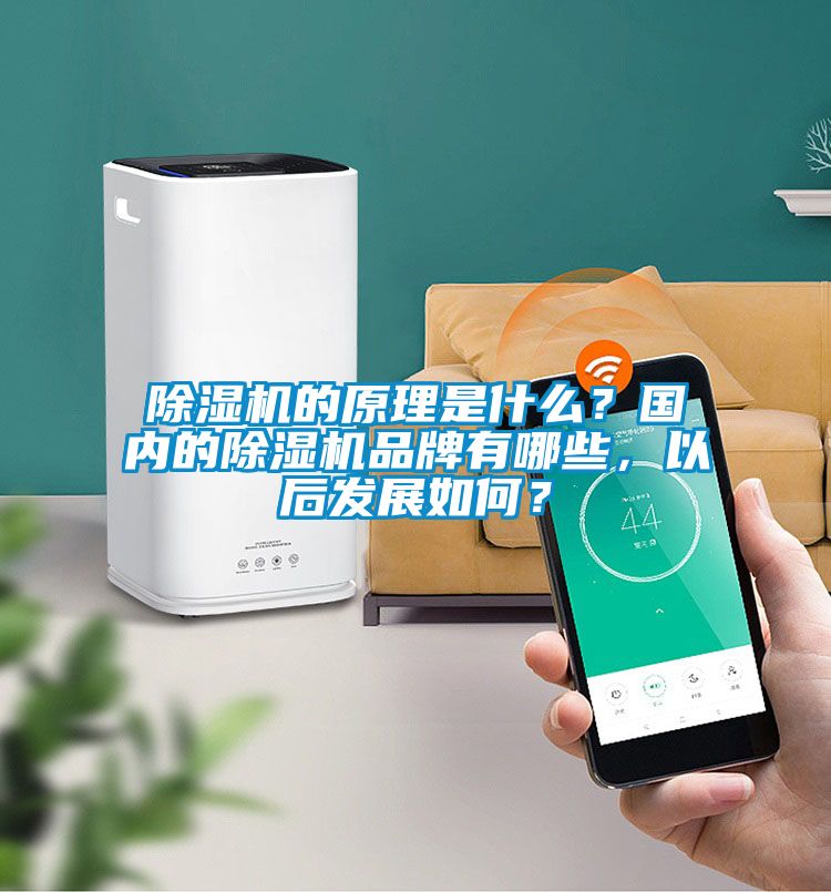 除濕機(jī)的原理是什么？國內(nèi)的除濕機(jī)品牌有哪些，以后發(fā)展如何？