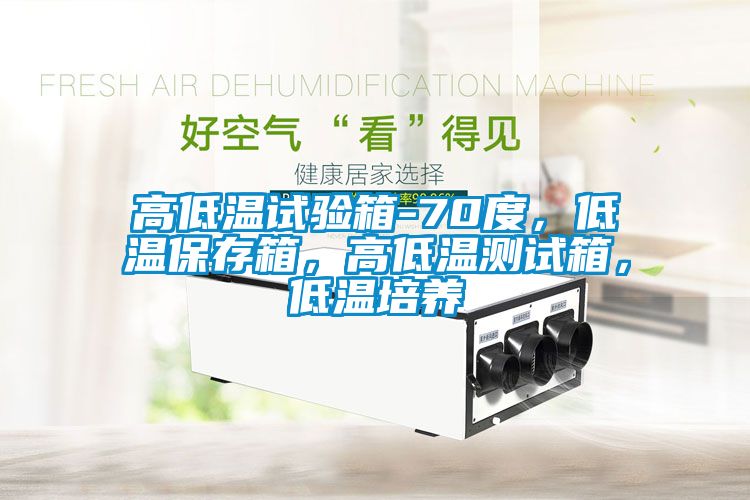 高低溫試驗箱-70度，低溫保存箱，高低溫測試箱，低溫培養