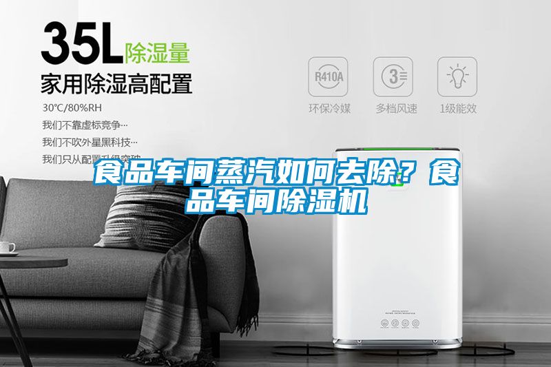 食品車間蒸汽如何去除？食品車間除濕機
