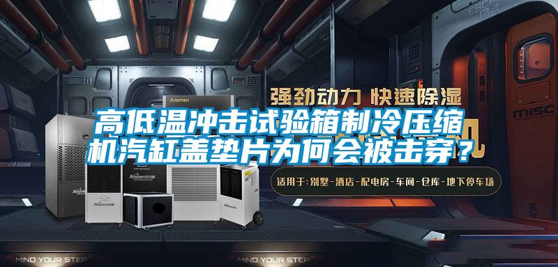 高低溫沖擊試驗箱制冷壓縮機汽缸蓋墊片為何會被擊穿？